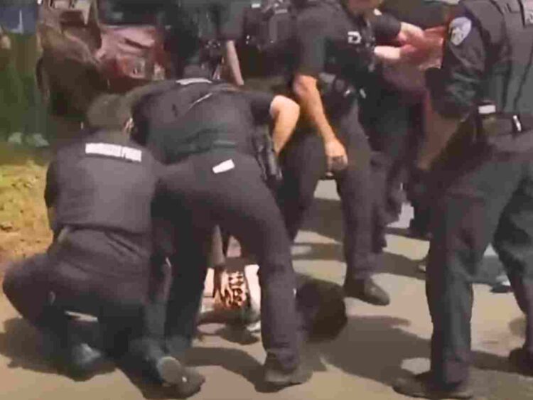 ICE agents attempt to abduct mother and child, neighbours response goes viral
