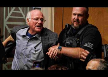 Ben and Jerry's co-founder arrested after pleas to save starving children in Gaza