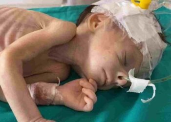 Israel could kill 14,000 babies in 48 hours if it doesn't allow food into Gaza