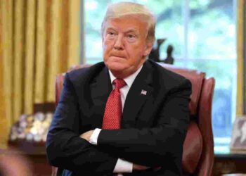 Trump Harvard