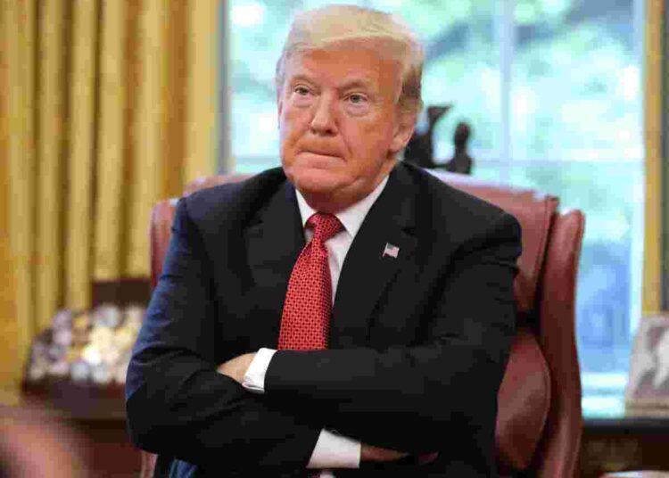 Trump Harvard