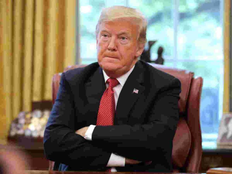 Trump Harvard