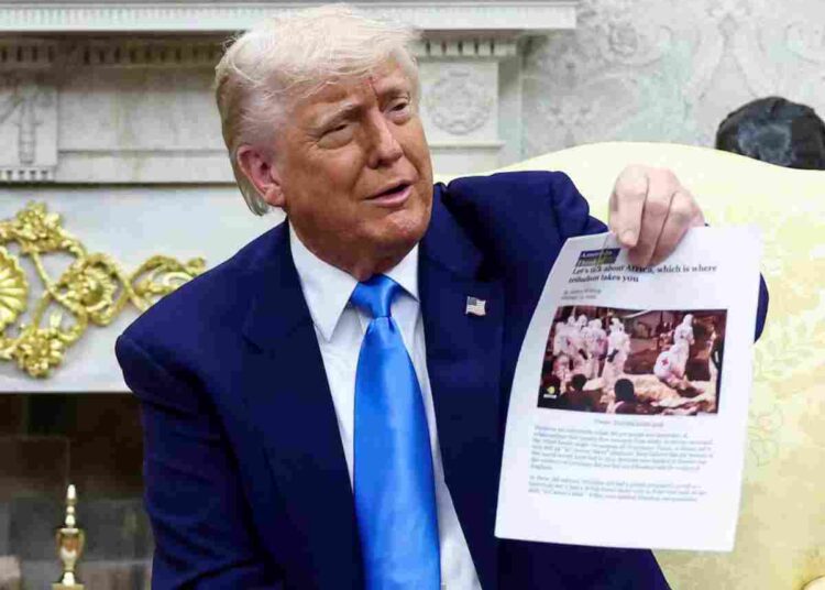 Trump white genocide