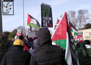 Procession of protesters in Wimborne holding placards reading "From the river to the sea, Palestine will be free" and flags. An olive branch from a local pub sign hangs out from the left of the frame, over the heads of the protesters RCV Engines Dorset