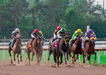 How Reliable Are Horse Racing Tips?