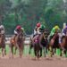 How Reliable Are Horse Racing Tips?