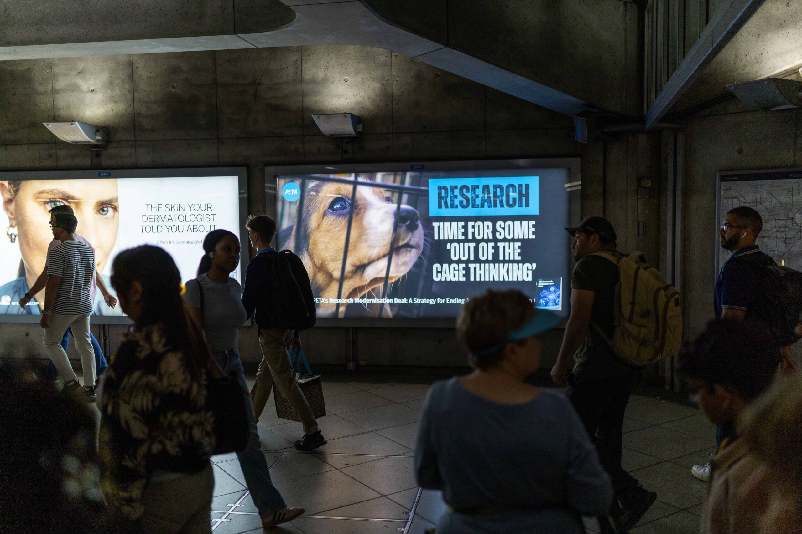 Billboard at Platform 2, Eastbound on the District Line at Westminster Station with a beagle puppy peering out from behind bars and text reading: Research. Time for some 'out of the cage thinking' with PETA's logo. 