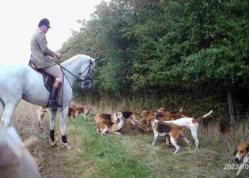hunting act