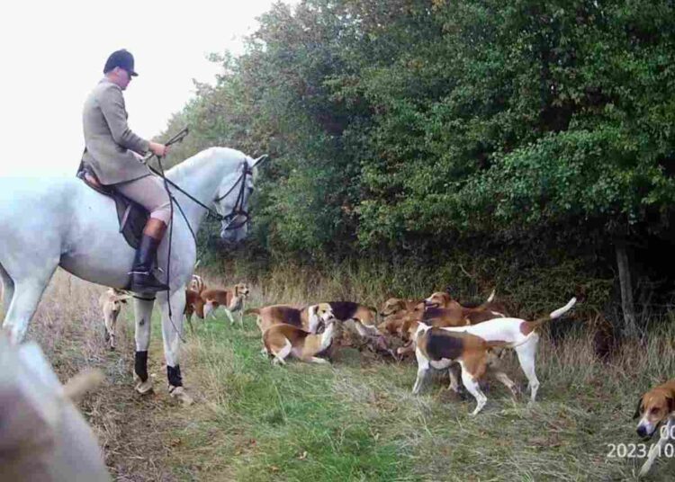 hunting act