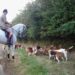 hunting act