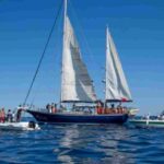 Freedom Flotilla