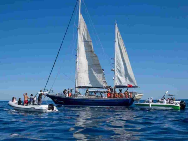 Freedom Flotilla