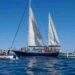 Freedom Flotilla
