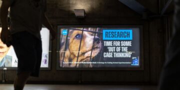 Billboard at Platform 2, Eastbound on the District Line at Westminster Station with a beagle puppy peering out from behind bars and text reading: Research. Time for some 'out of the cage thinking' with PETA's logo.