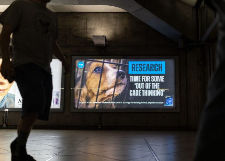 Billboard at Platform 2, Eastbound on the District Line at Westminster Station with a beagle puppy peering out from behind bars and text reading: Research. Time for some 'out of the cage thinking' with PETA's logo.