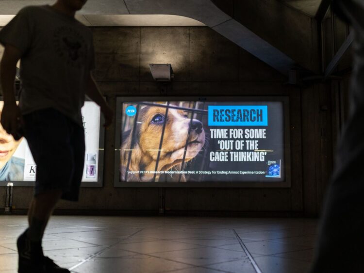Billboard at Platform 2, Eastbound on the District Line at Westminster Station with a beagle puppy peering out from behind bars and text reading: Research. Time for some 'out of the cage thinking' with PETA's logo.