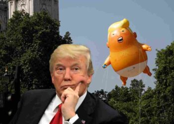 Trump state visit