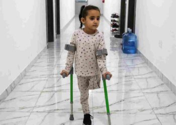 UK government legal challenge Gaza