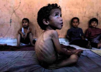 Gaza famine latest