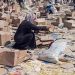 Gaza Israel