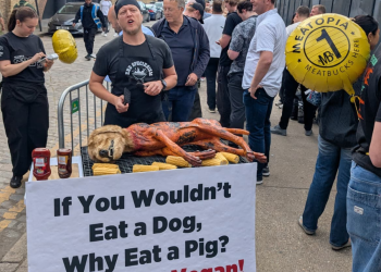 Activist with an apron reading 'End Speciesism" stands over a barbecue gridle with corn on the cob and a visually realistic dog and a banner reading "If you wouldn't eat a dog, why eat a pig? Please, go vegan!" People queuing to go into Meatopia festival.