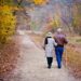 Hip Osteoarthritis Treatment Options: From Conservative to Surgical