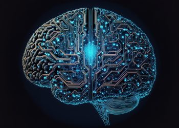 The human brain: new discoveries in neuroscience