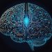 The human brain: new discoveries in neuroscience