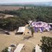 Nova rave Israel