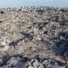 UNRWA Gaza