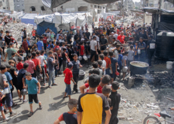 Palestine, Gaza - malnutrition