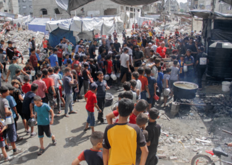 Palestine, Gaza - malnutrition