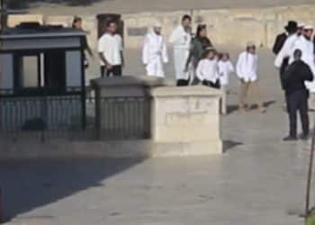 Israeli settlers storm Al-Aqsa Mosque under armed protection from the IOF.