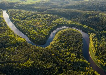 Belém Brazil: How the Equatorial Margin Shapes COP30 Discussions on Energy Transition