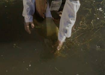 When Industrial Pollution Meets Public Health Activism