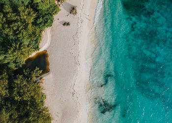The Rise of Expedition Cruising: Why Luxury Travelers Are Choosing Adventure at Sea