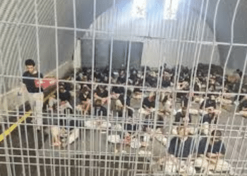 Prisoner execution