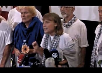 Greta Thunberg released