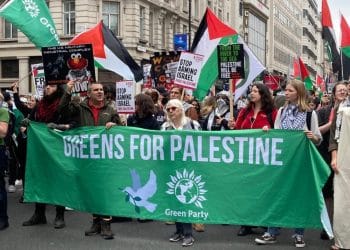 Green Party IDF