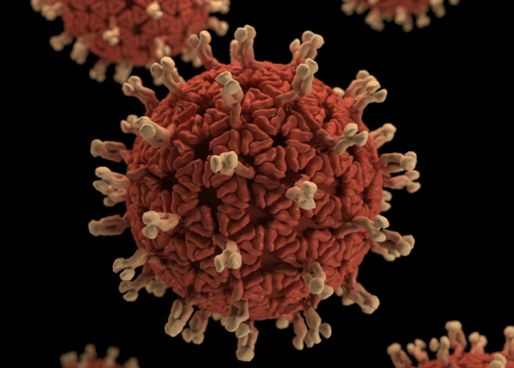 diseases IUCN