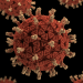 diseases IUCN