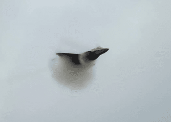 F-35