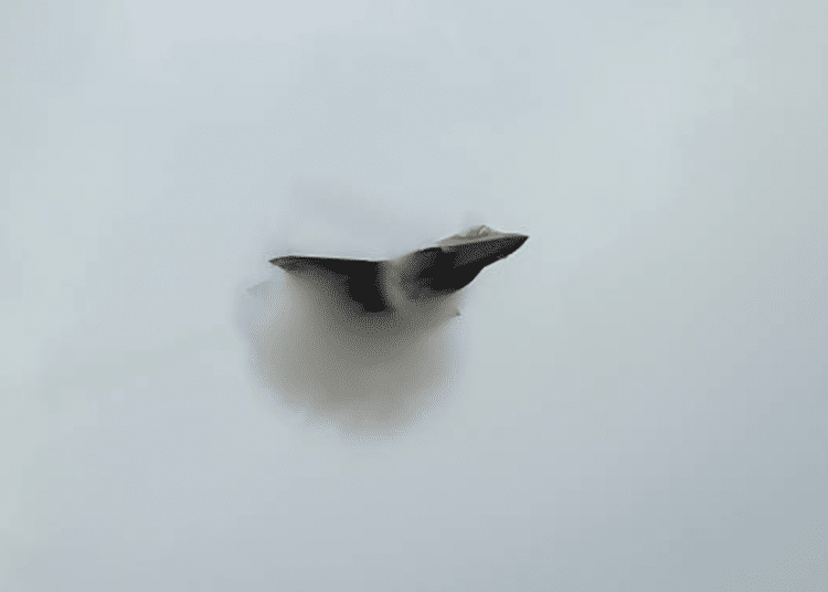 F-35