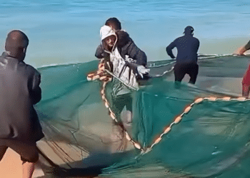 palestine fishing