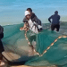 palestine fishing