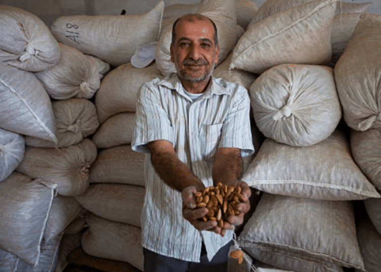 Gaza survival economy