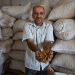 Gaza survival economy