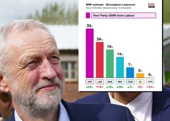 Your Party