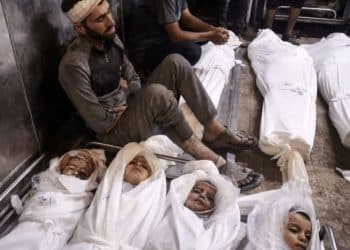 Israel just massacred 11 members of the same Palestinian family in Al-Zaytoun, Gaza