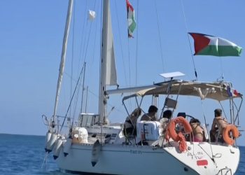 British government abandons British flotilla activists